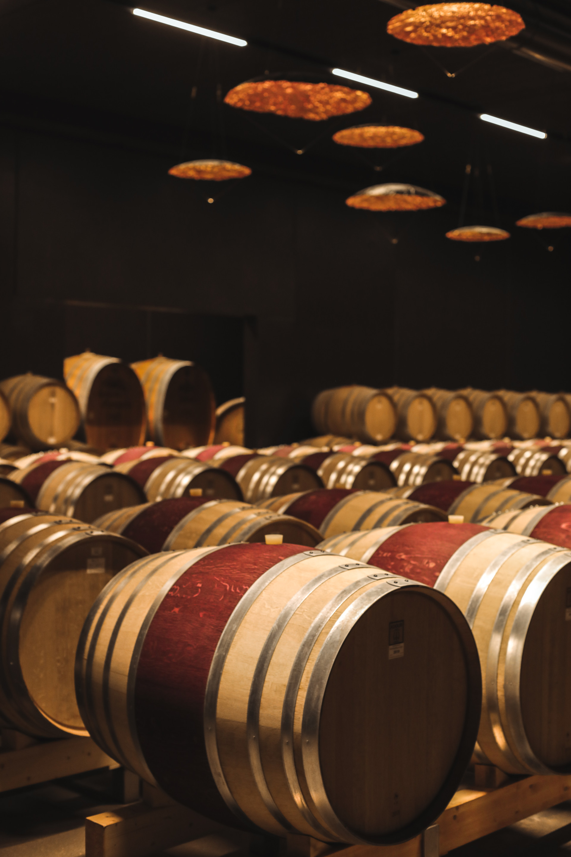 Pieropan4p3a7110-2880x2880-q90