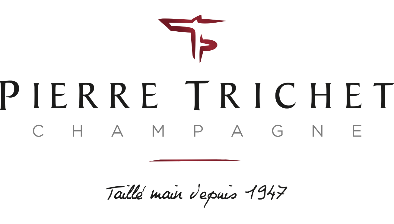 Pierre_Trichet_Logo