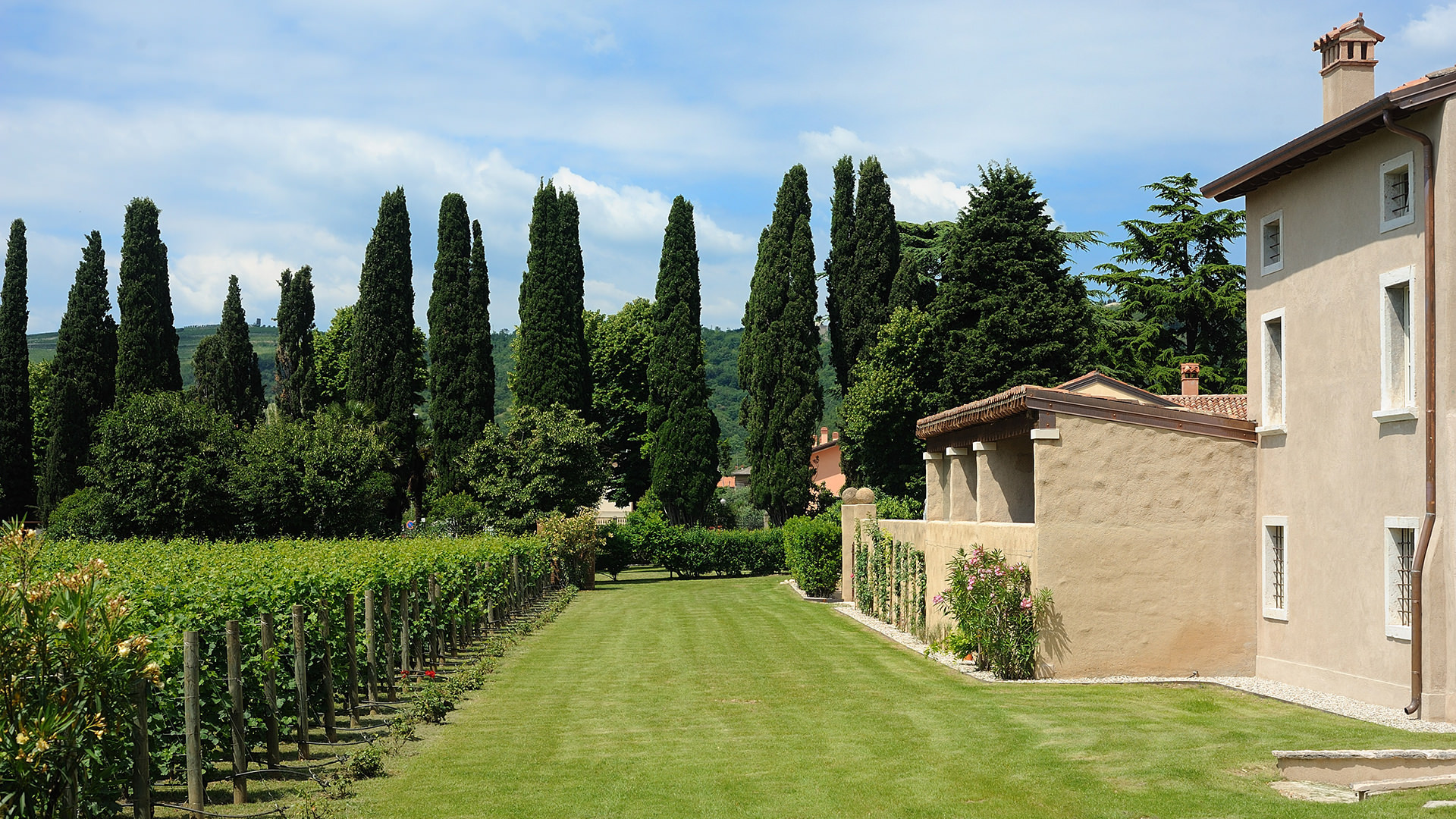 villa-cipolla-pieropan-vigneto-2880x2880-q90